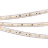 Лента светодиодная RTW 2-5000PS 12V White6000 2x (3528, 600 LED, LUX) (Arlight, 9.6 Вт/м, IP67)