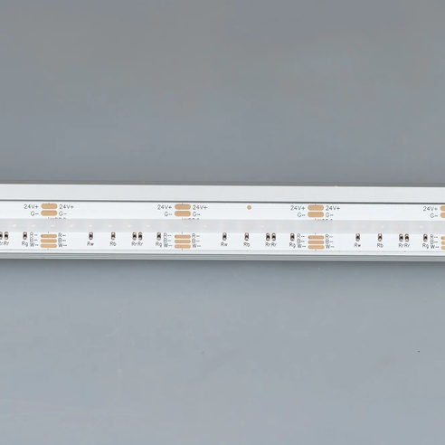 Лента светодиодная CSP-X840-12mm 24V RGBW-Day (17.2 W/m, IP20, 5m)  (Arlight, 5 лет)