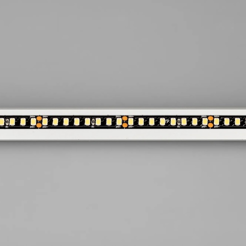 Лента светодиодная RT-5000-2835-160-24V Day4000 (Black 8mm, 12W/m, IP20) (Arlight, -)